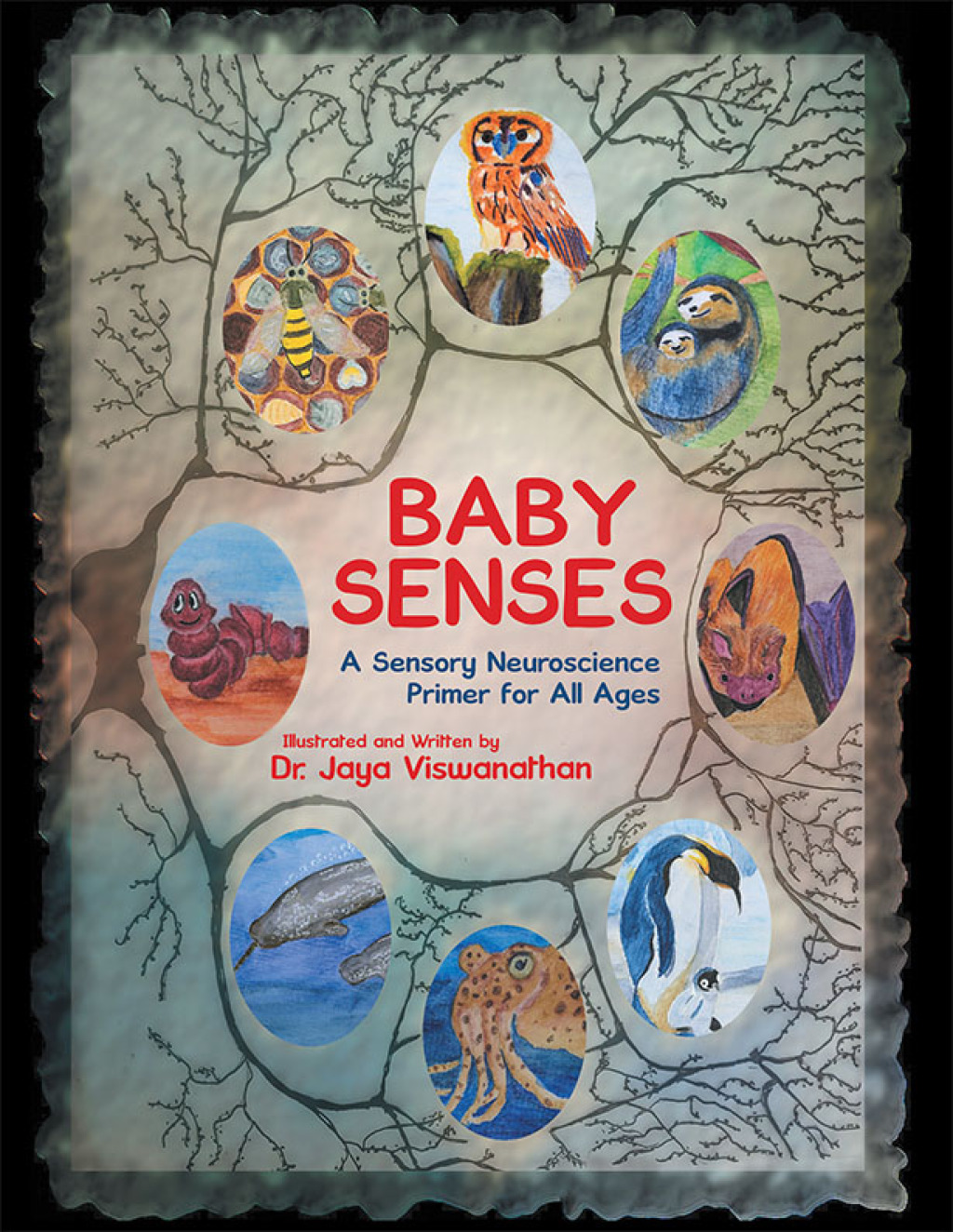 Baby Senses A Sensory Neuroscience Primer for All Ages - (PDF/EPUB Version)