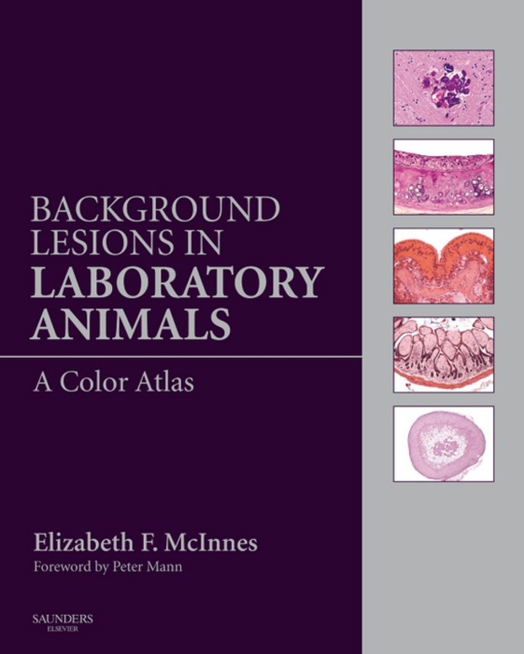 Background Lesions in Laboratory Animals A Color Atlas â€“ PDF/EPUB Version Downloadable