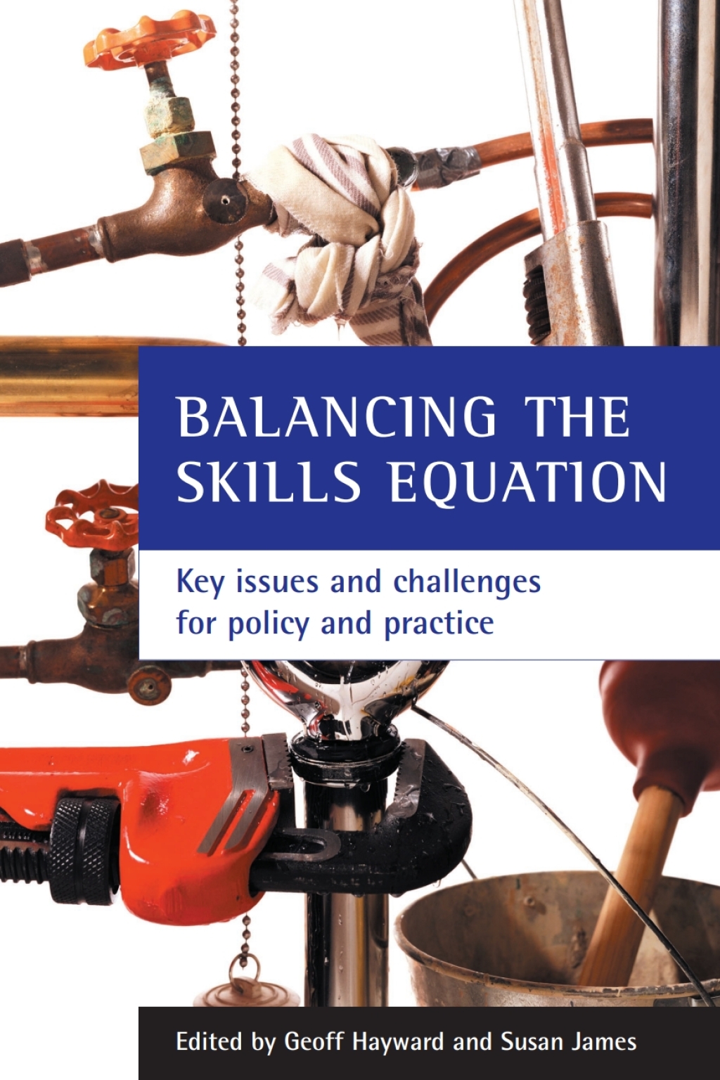 Balancing the skills equation Key issues and challenges for policy and practice 1st Edition â€“ PDF/EPUB Version Downloadable