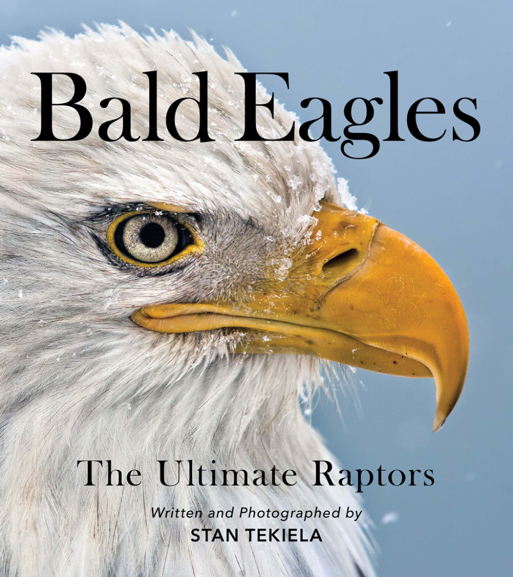 Bald Eagles The Ultimate Raptors - (PDF/EPUB Version)