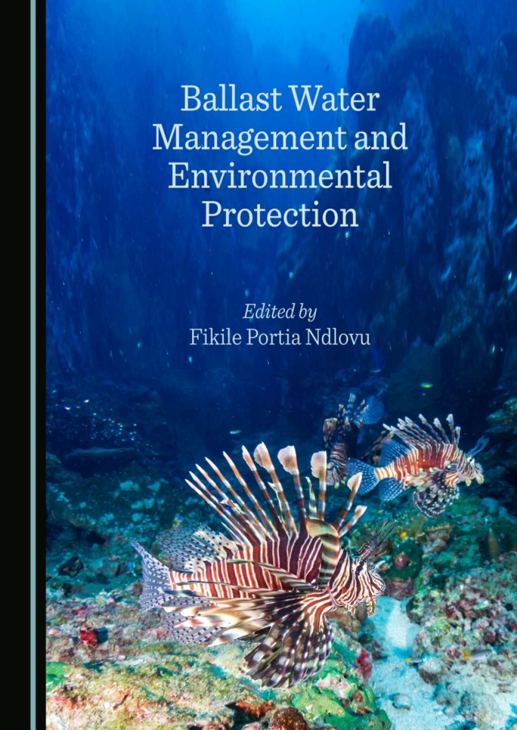Ballast Water Management and Environmental Protection 1st Edition â€“ PDF/EPUB Version Downloadable