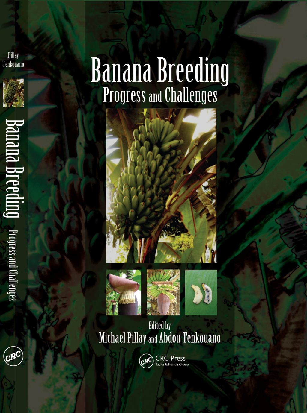 Banana Breeding Progress and Challenges 1st Edition â€“ PDF/EPUB Version Downloadable