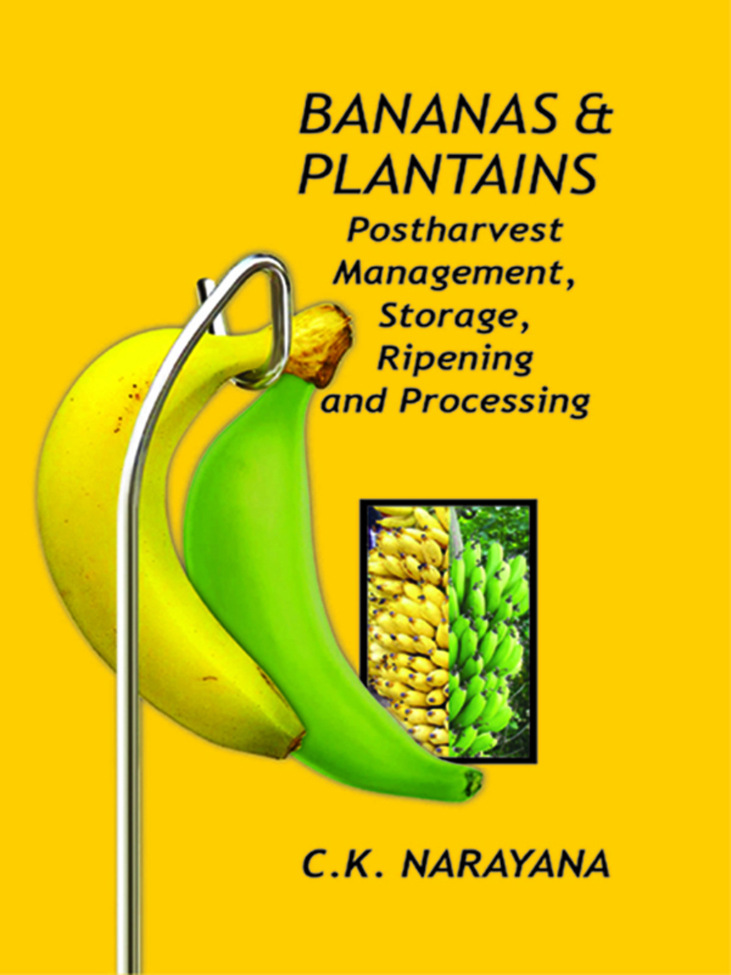 Bananas and Plantains: Postharvest Management,Storage, Ripening and Processing  â€“ PDF/EPUB Version Downloadable