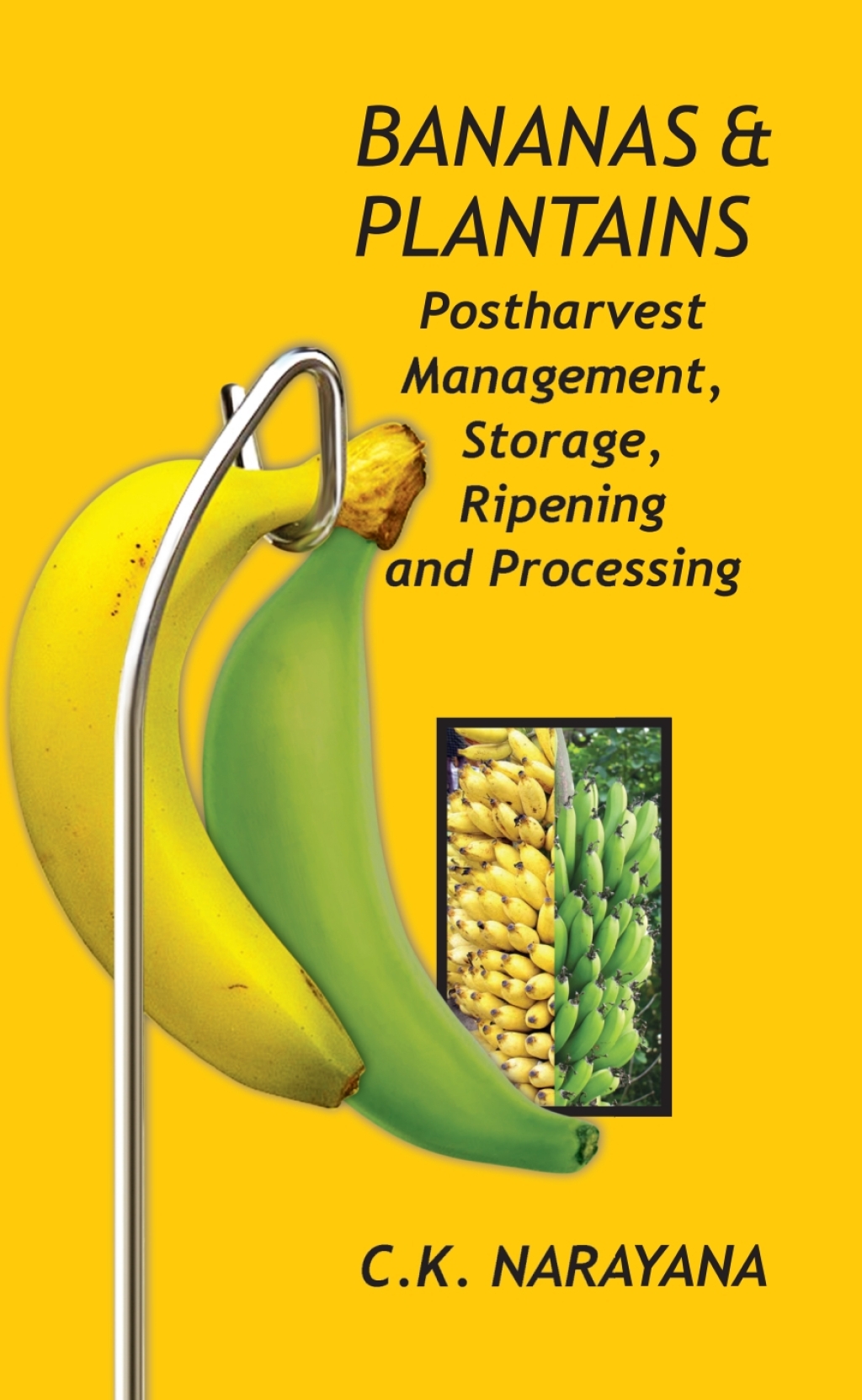 Bananas and Plantains: Postharvest Management,Storage,Ripening and Processing 1st Edition â€“ PDF/EPUB Version Downloadable