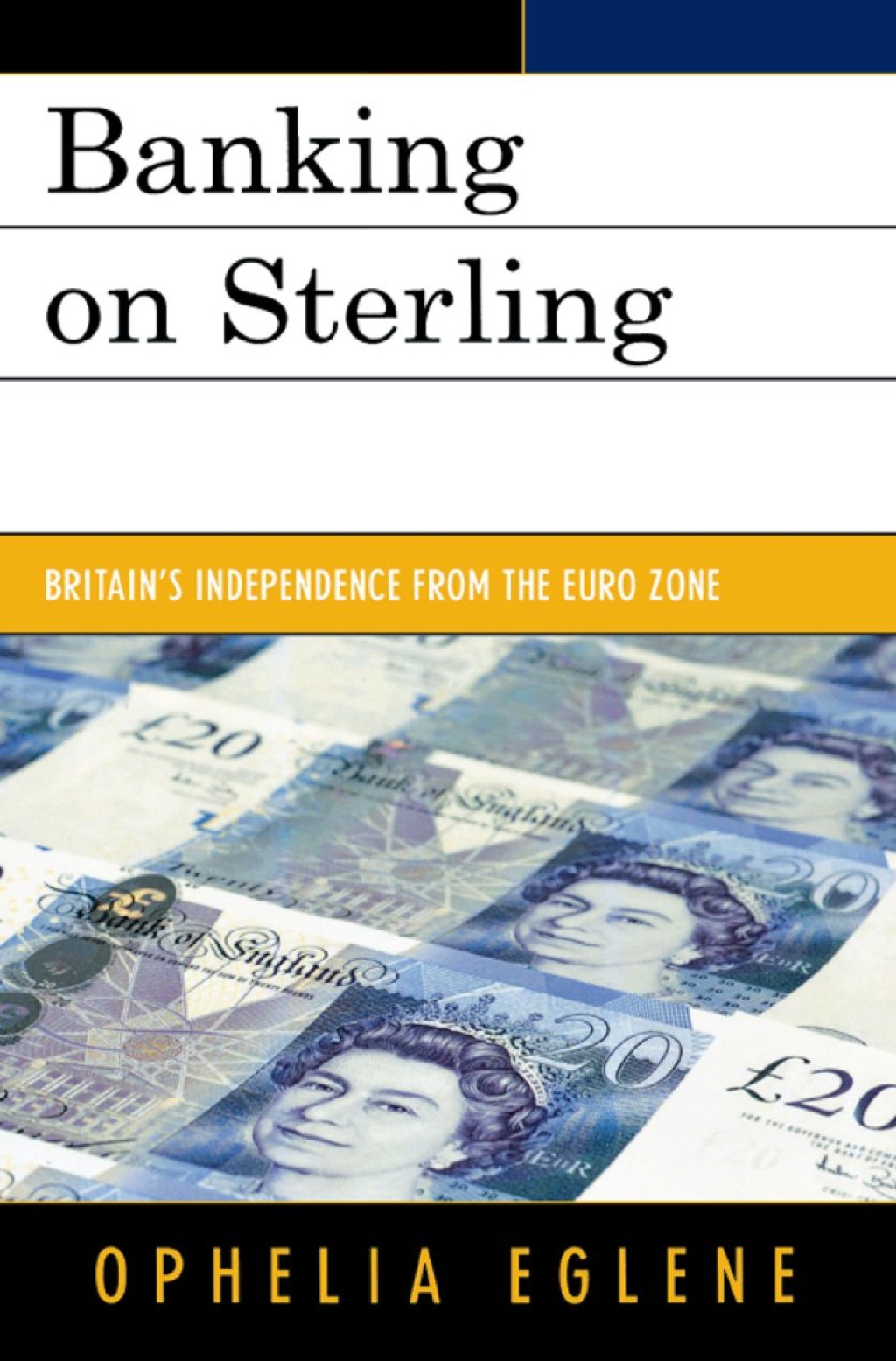 Banking on Sterling Britain's Independence from the Euro Zone 1st Edition â€“ PDF/EPUB Version Downloadable