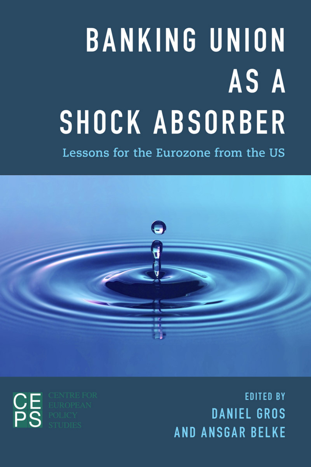 Banking Union as a Shock Absorber Lessons for the Eurozone from the US 1st Edition - (PDF/EPUB Version)