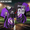 Baseball Jersey Fire Skull Ball Multicolor Option Custom 3D Shirt for Baseball Team