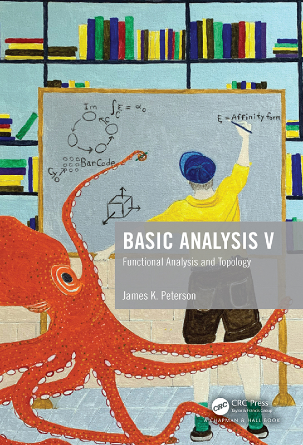 Basic Analysis V Functional Analysis and Topology 1st Edition â€“ PDF/EPUB Version Downloadable