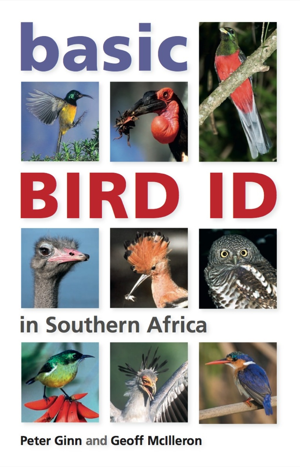 Basic Bird ID in Southern Africa 1st Edition - (PDF/EPUB Version)