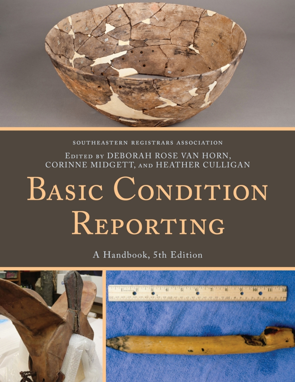 Basic Condition Key Basic Condition Reporting A Handbook 5th Edition – PDF/EPUB Version ...
