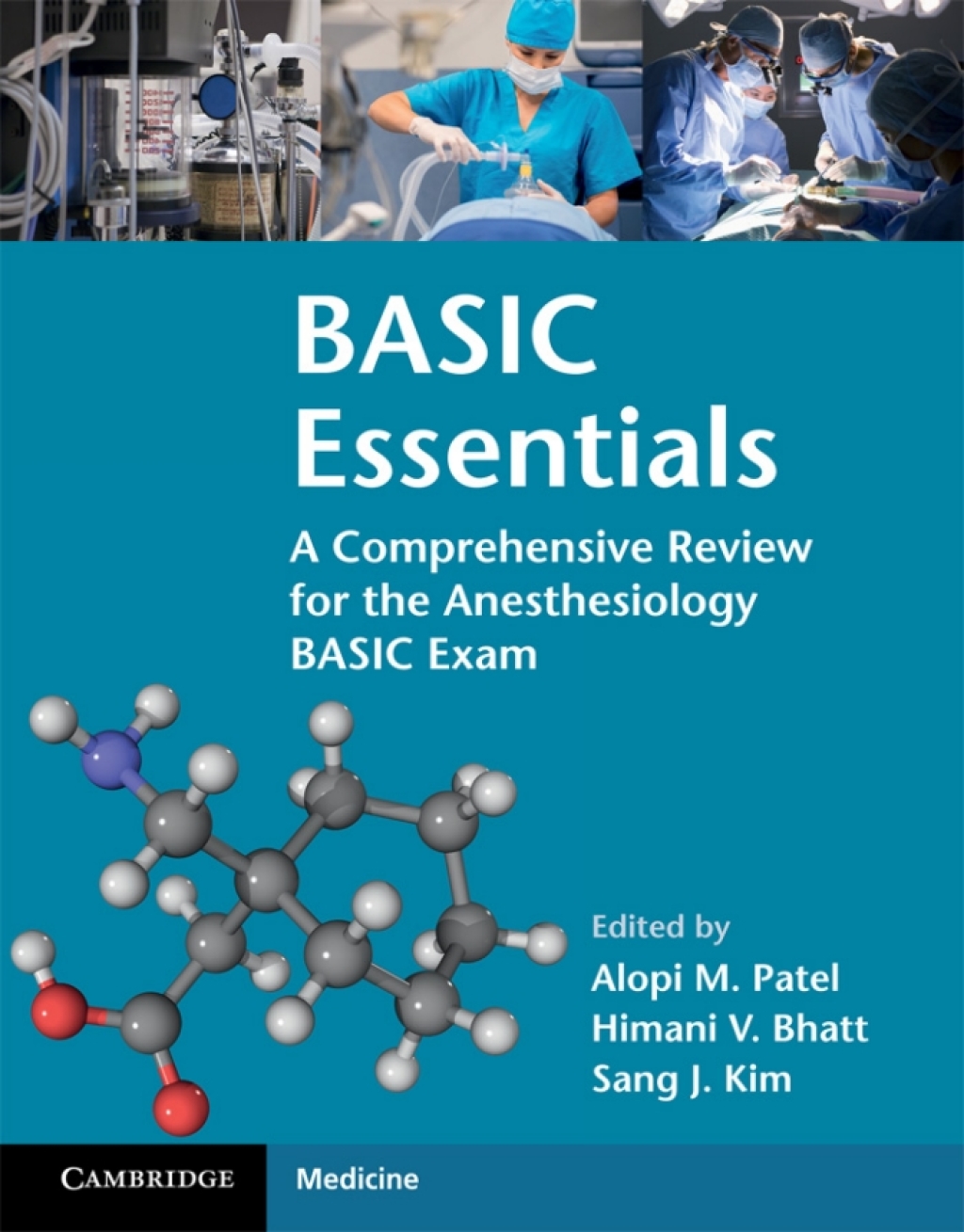 BASIC Essentials A Comprehensive Review for the Anesthesiology BASIC Exam  â€“ PDF/EPUB Version Downloadable