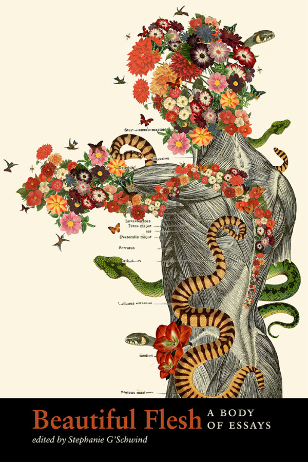 Beautiful Flesh A Body of Essays - (PDF/EPUB Version)