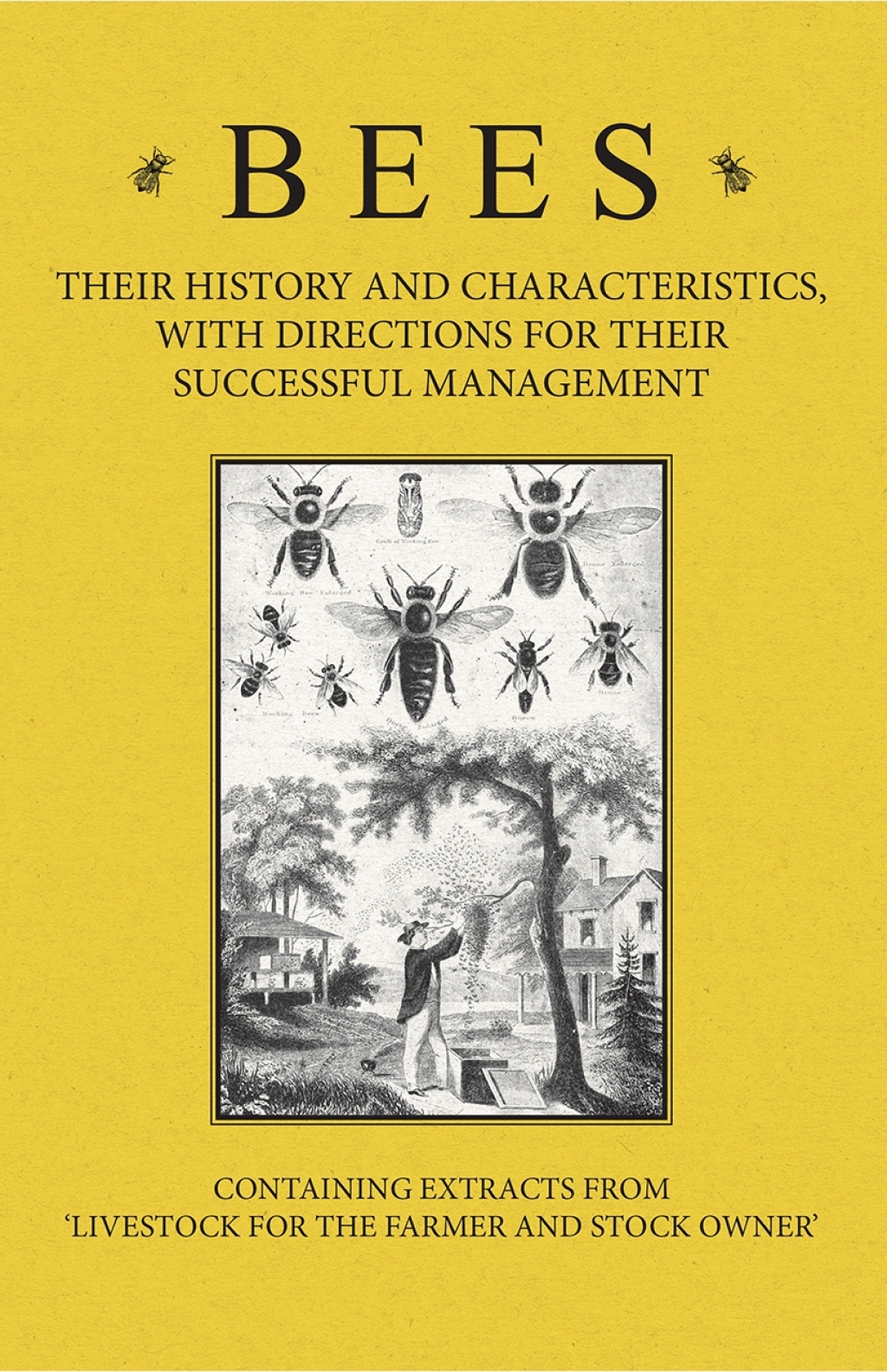 Bees - Their History and Characteristics, With Directions for Their Successful Management - Containing Extracts from Livestock for the Farmer and Stock Owner - (PDF/EPUB Version)