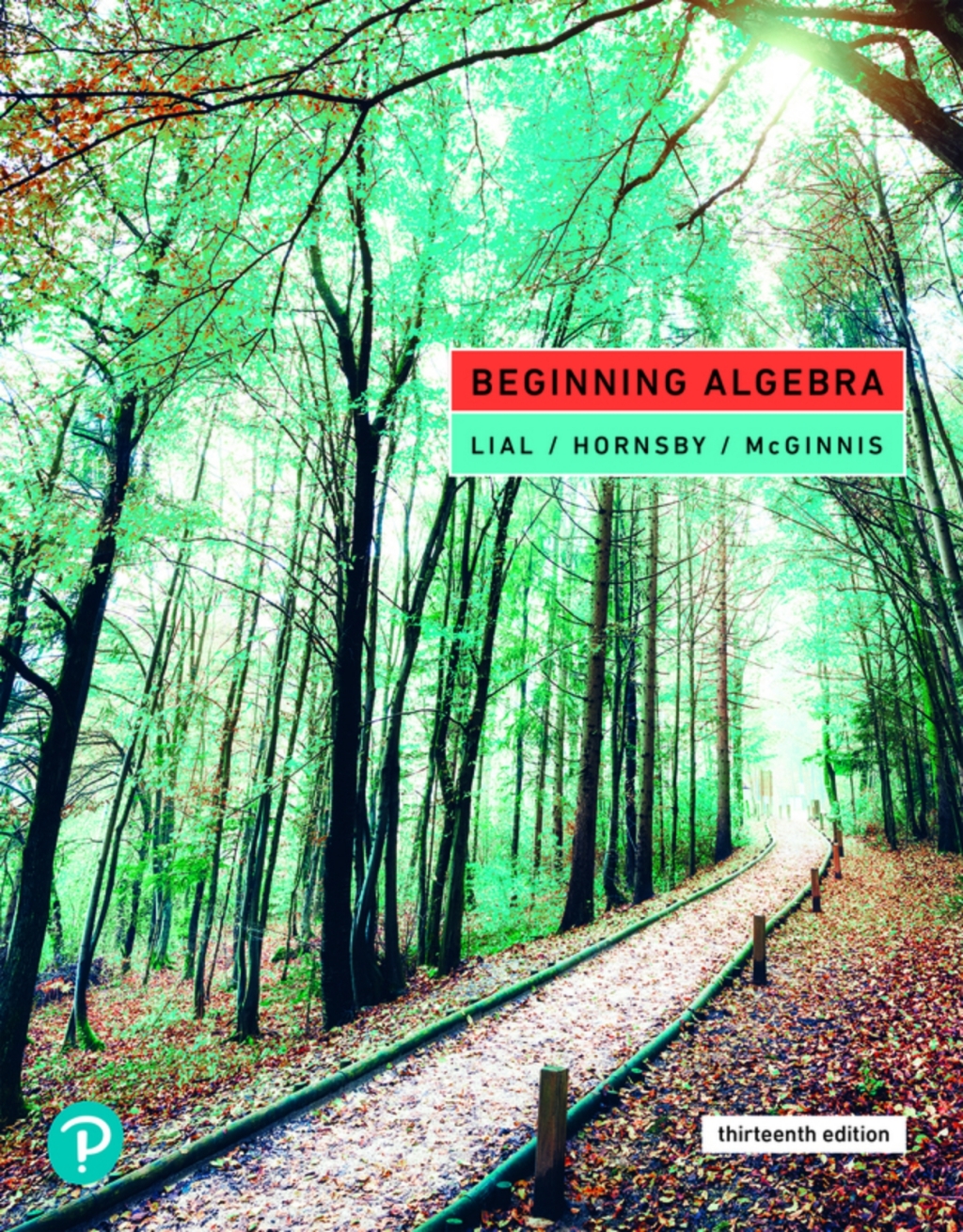 Beginning Algebra (Pearson+) 13th Edition â€“ PDF/EPUB Version Downloadable