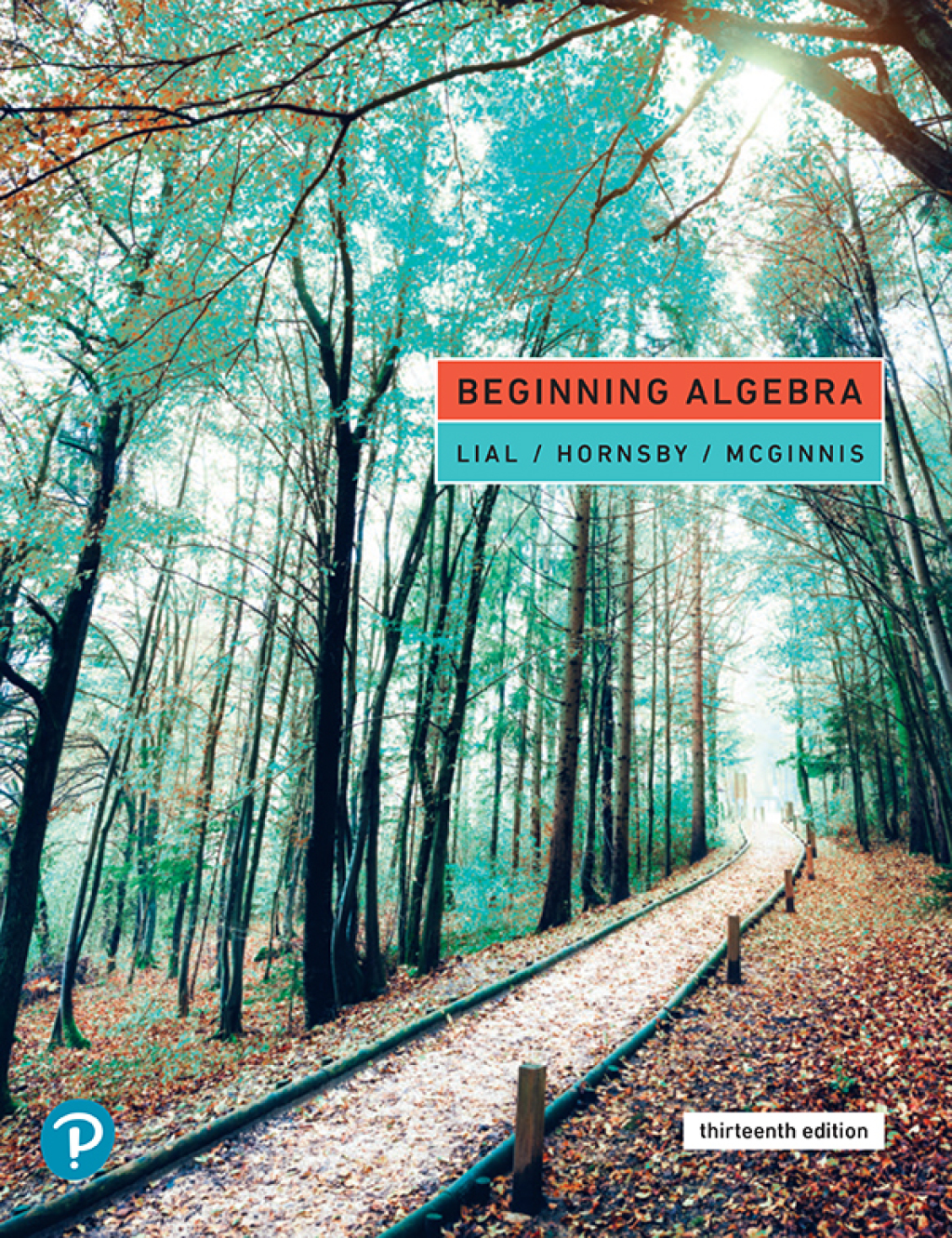 Beginning Algebra 13th Edition â€“ PDF/EPUB Version Downloadable
