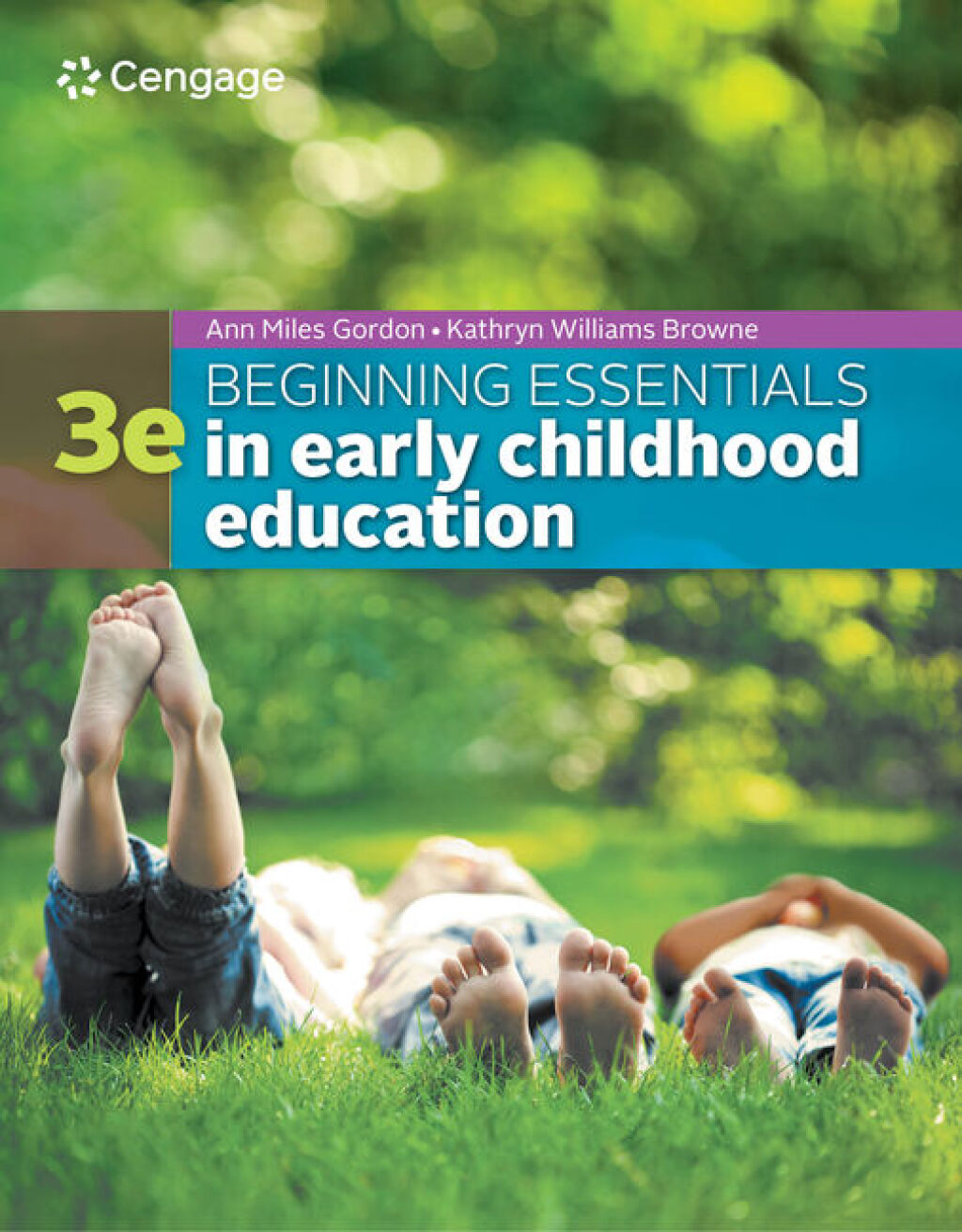 Beginning Essentials in Early Childhood Education 3rd Edition â€“ PDF/EPUB Version Downloadable