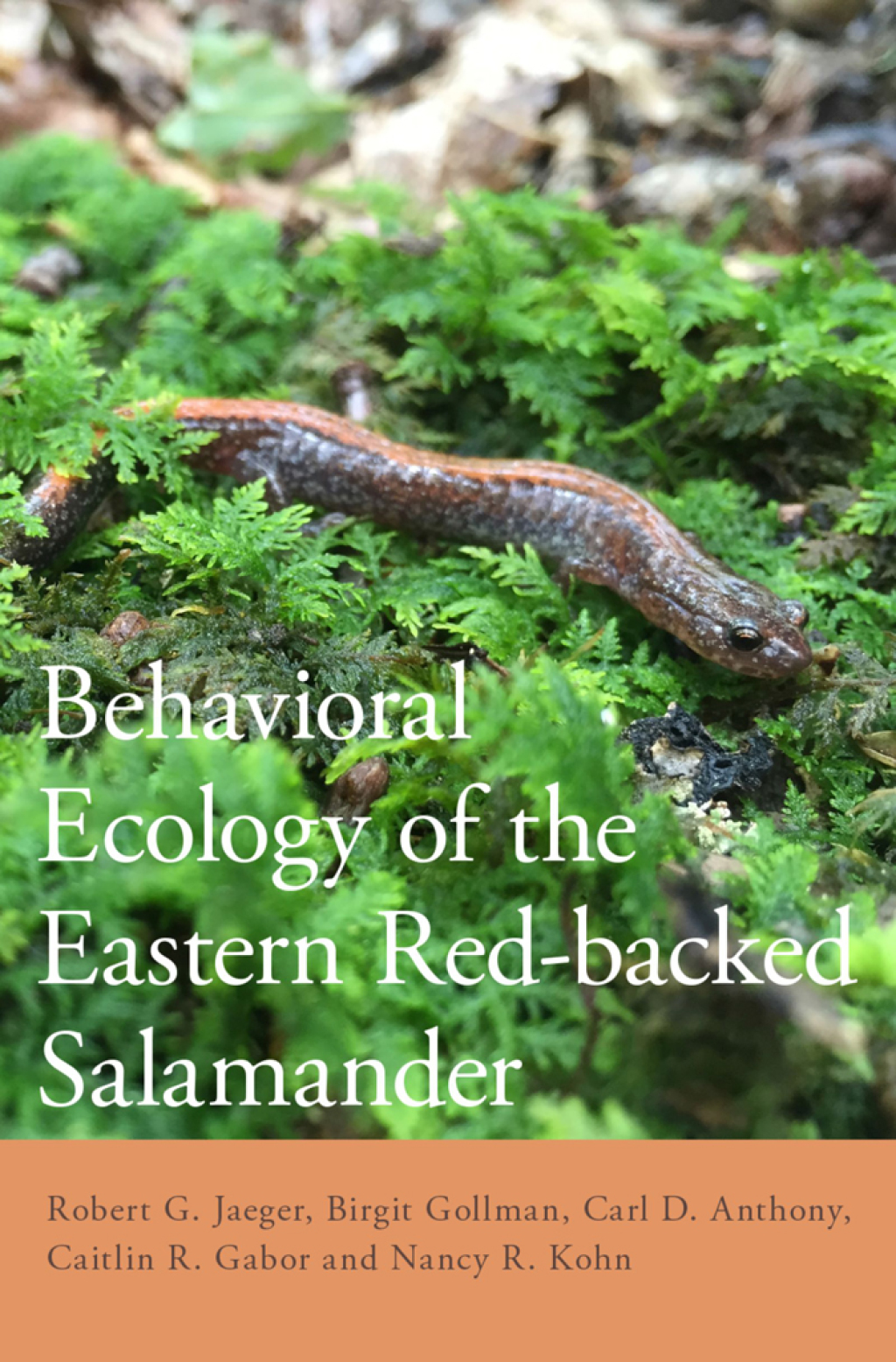 Behavioral Ecology of the Eastern Red-backed Salamander 50 Years of Research  â€“ PDF/EPUB Version Downloadable