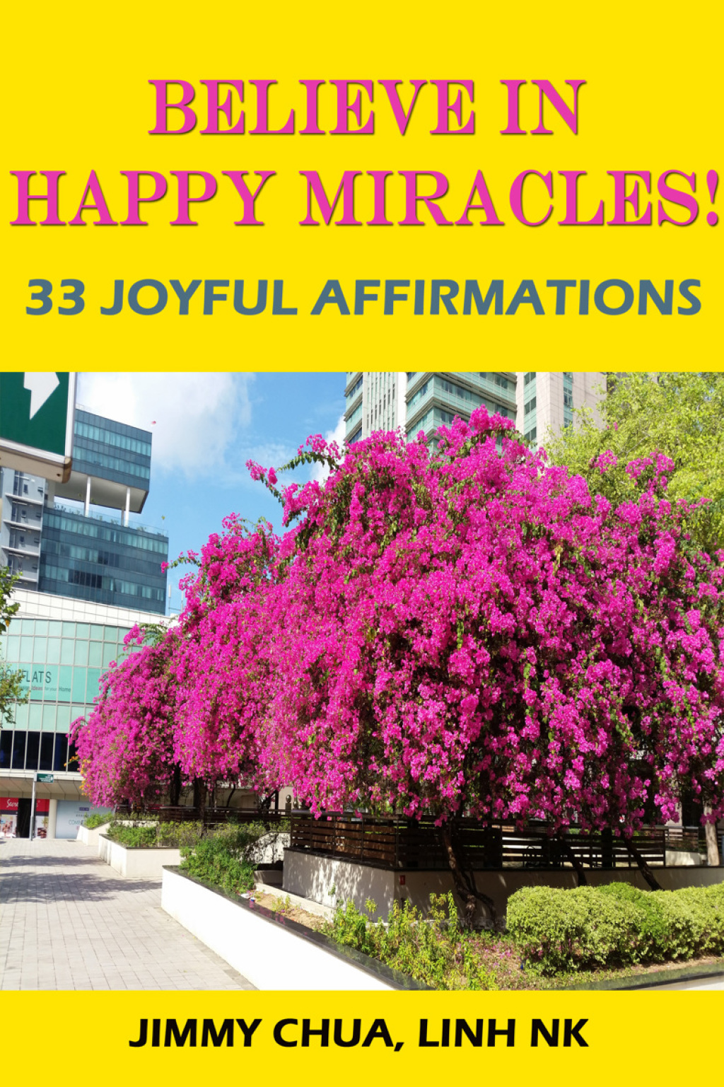 Believe In Happy Miracles - 33 Joyful Affirmations - (PDF/EPUB Version)