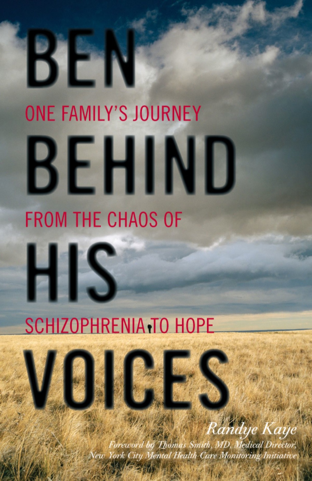 Ben Behind His Voices One Family's Journey from the Chaos of Schizophrenia to Hope - (PDF/EPUB Version)