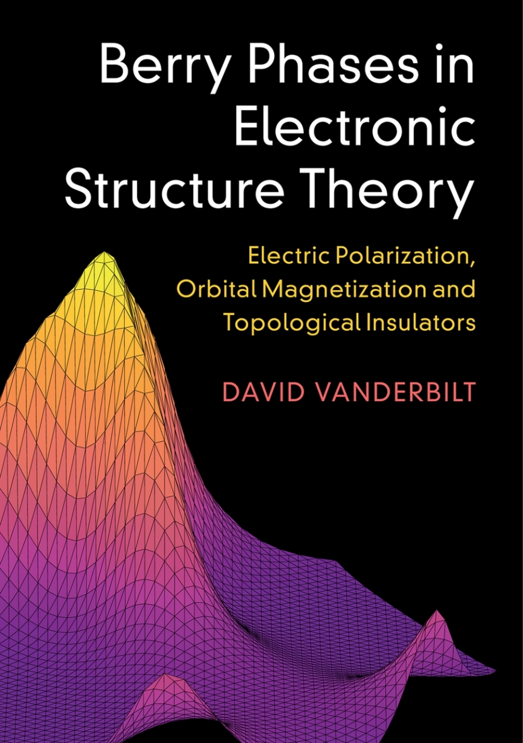 Berry Phases in Electronic Structure Theory Electric Polarization, Orbital Magnetization and Topological Insulators  â€“ PDF/EPUB Version Downloadable