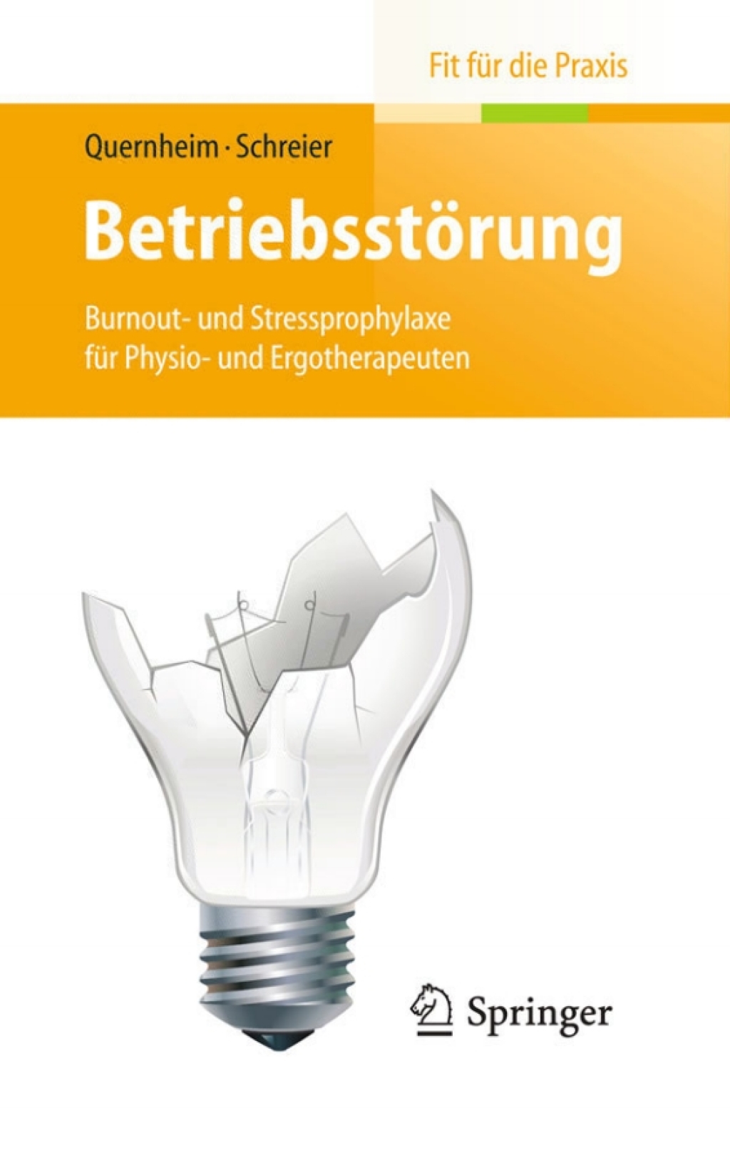 BetriebsstÃ¶rung Burnout- und Stressprophylaxe fÃ¼r Physio- und Ergotherapeuten - (PDF/EPUB Version)