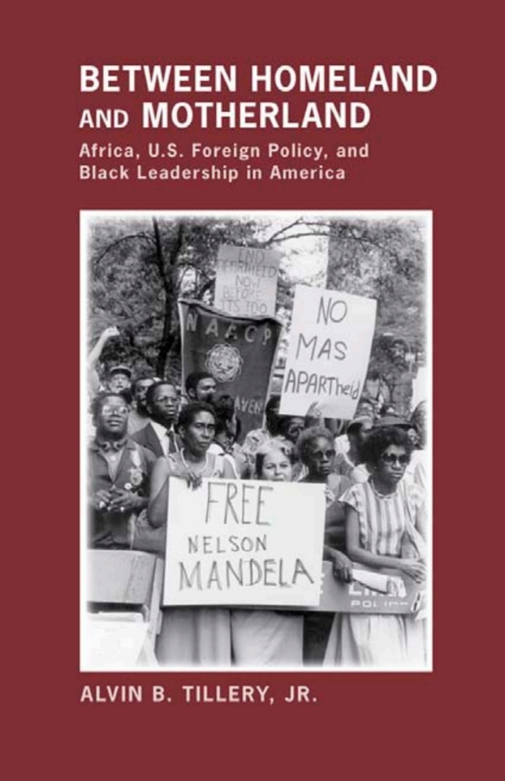 Between Homeland and Motherland Africa, U.S. Foreign Policy, and Black Leadership in America 1st Edition â€“ PDF/EPUB Version Downloadable