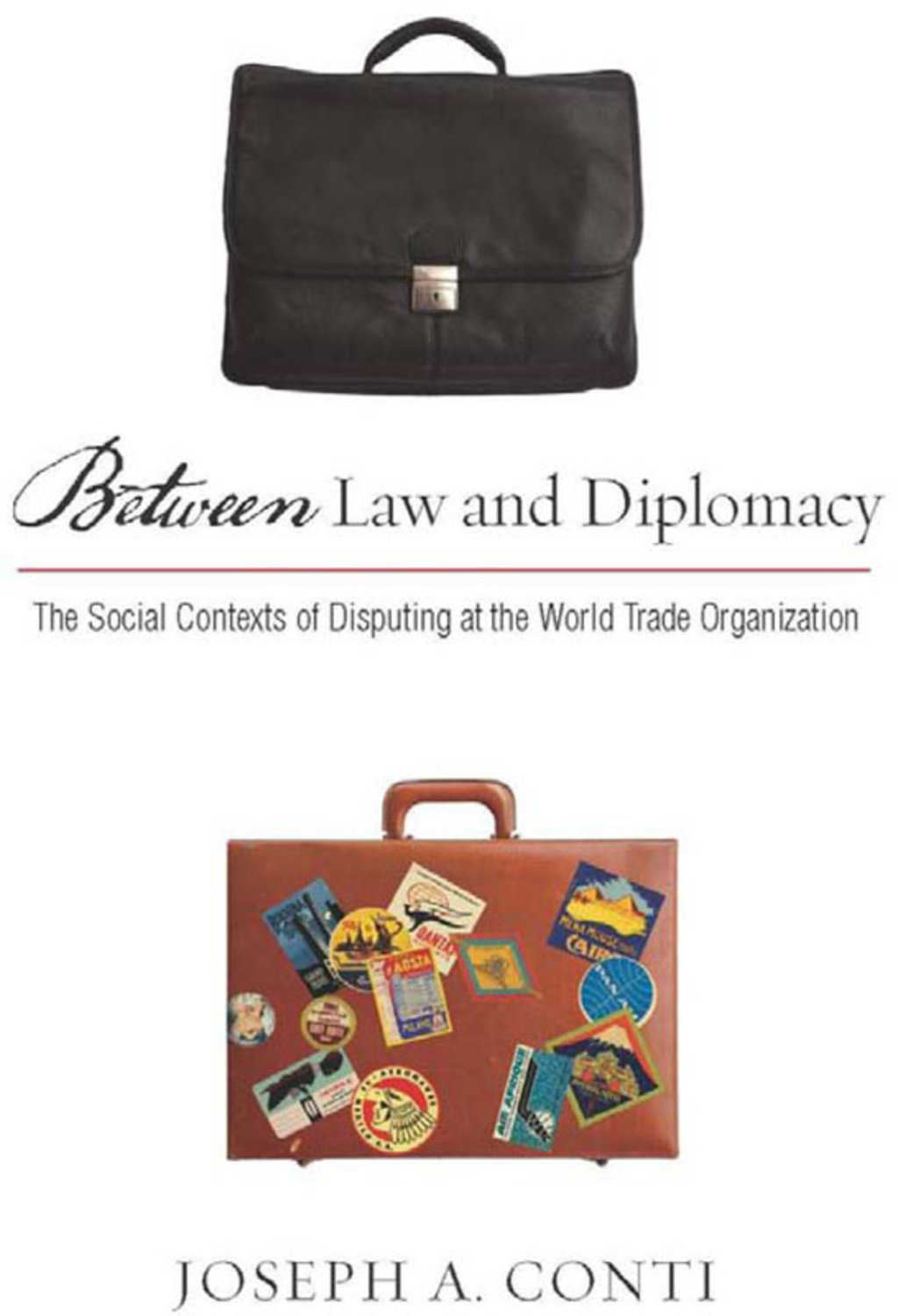 Between Law and Diplomacy The Social Contexts of Disputing at the World Trade Organization 1st Edition â€“ PDF/EPUB Version Downloadable