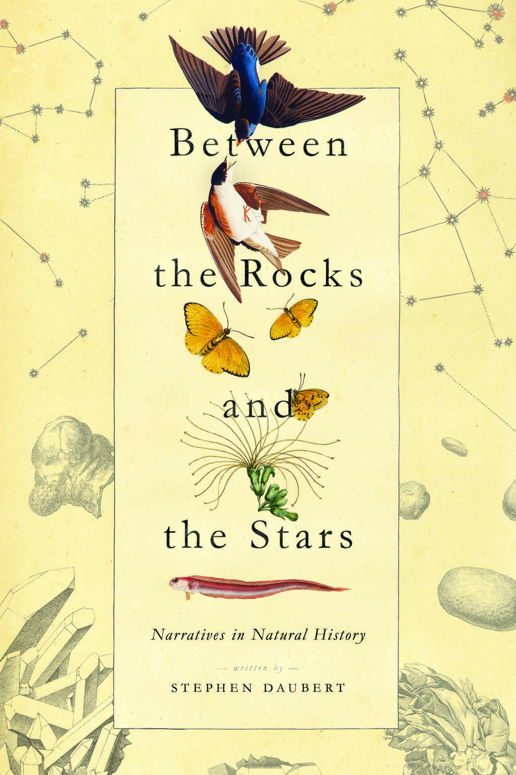 Between the Rocks and the Stars Narratives in Natural History - (PDF/EPUB Version)