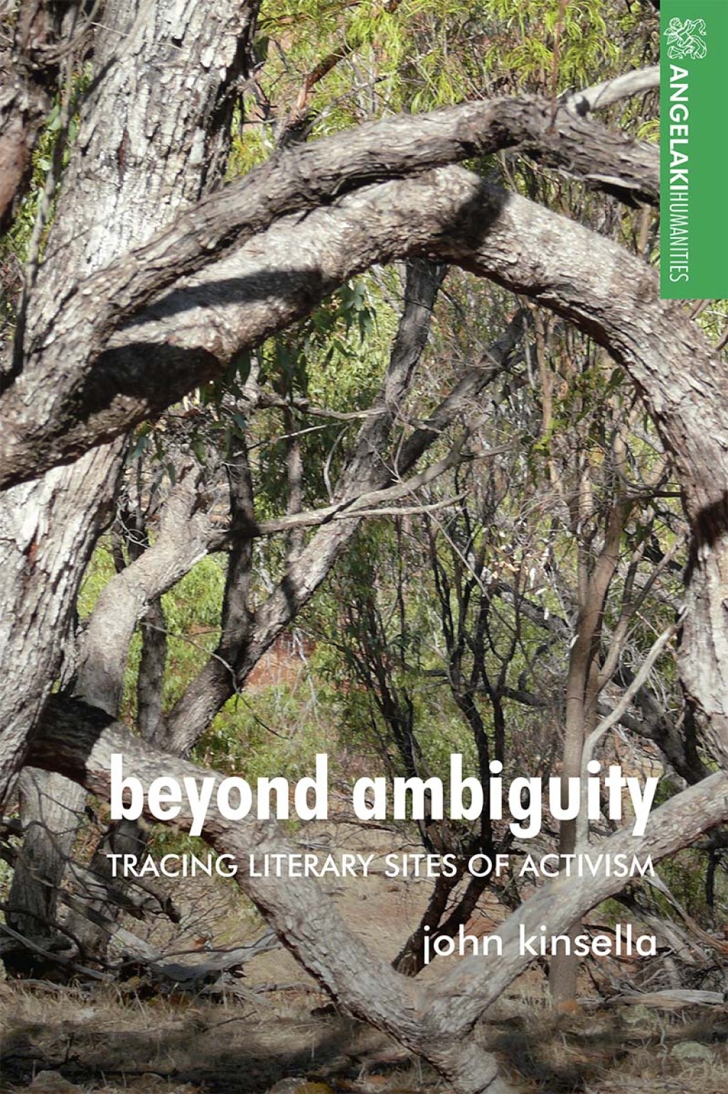 Beyond ambiguity Tracing literary sites of activism â€“ PDF/EPUB Version Downloadable