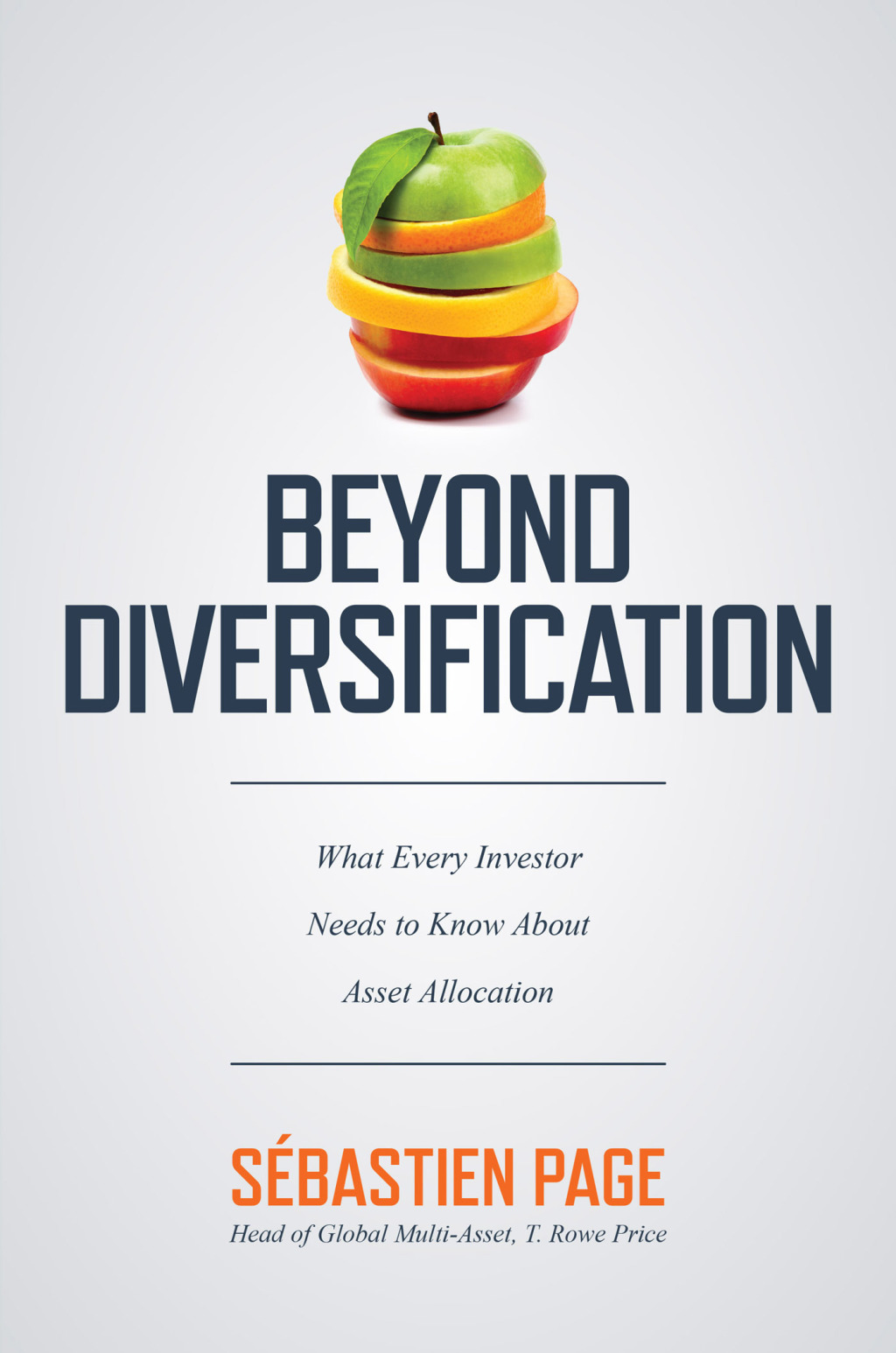 Beyond Diversification: What Every Investor Needs to Know About Asset Allocation 1st Edition - (PDF/EPUB Version)