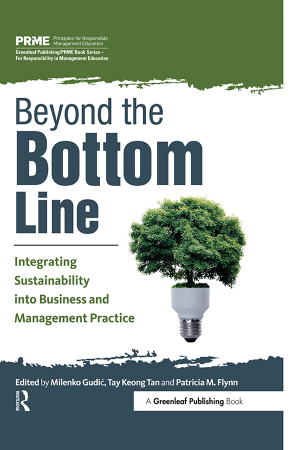 Beyond the Bottom Line Integrating Sustainability into Business and Management Practice 1st Edition â€“ PDF/EPUB Version Downloadable
