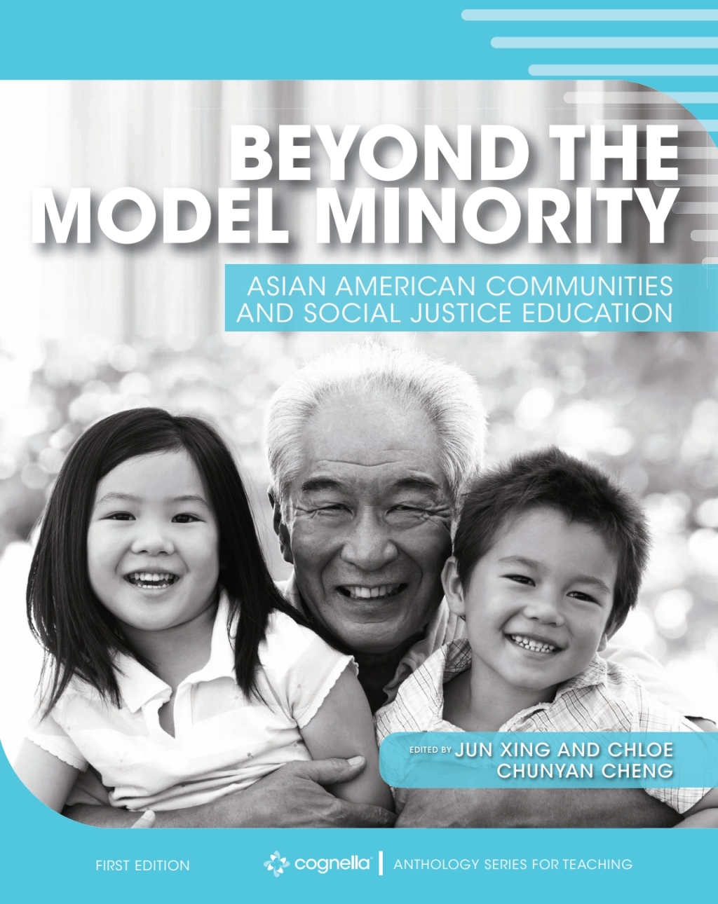 Beyond the Model Minority 1st Edition â€“ PDF/EPUB Version Downloadable