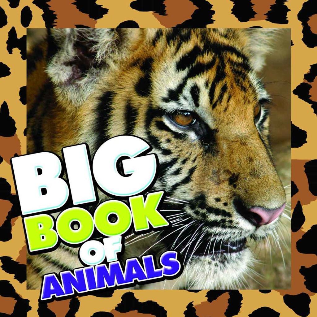 Big Book of Animals Children's Book of Animal Fun Facts - (PDF/EPUB Version)