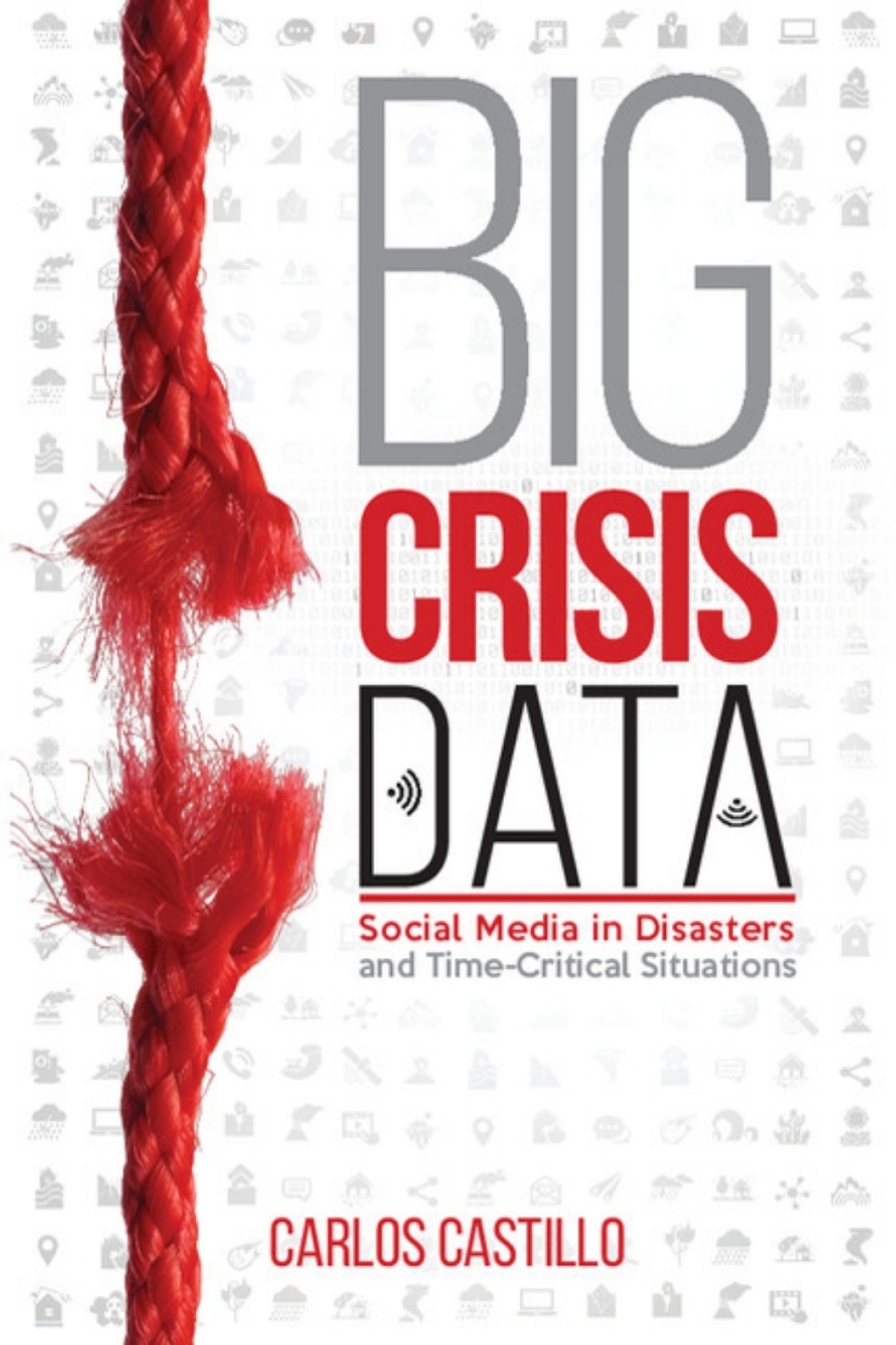 Big Crisis Data Social Media in Disasters and Time-Critical Situations  â€“ PDF/EPUB Version Downloadable
