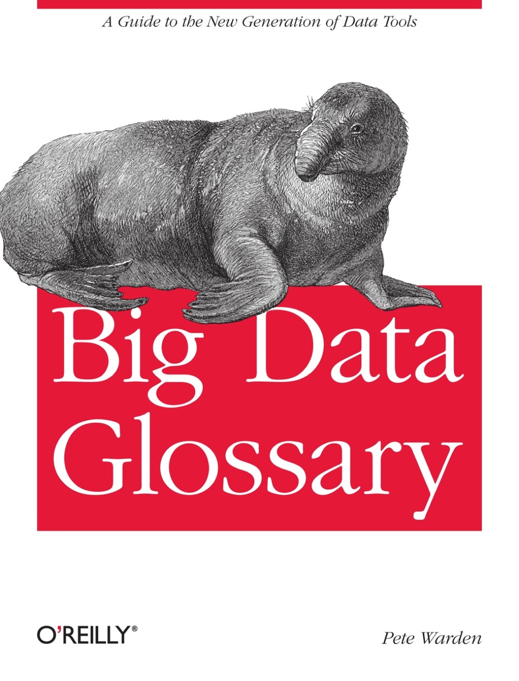 Big Data Glossary 1st Edition - (PDF/EPUB Version)
