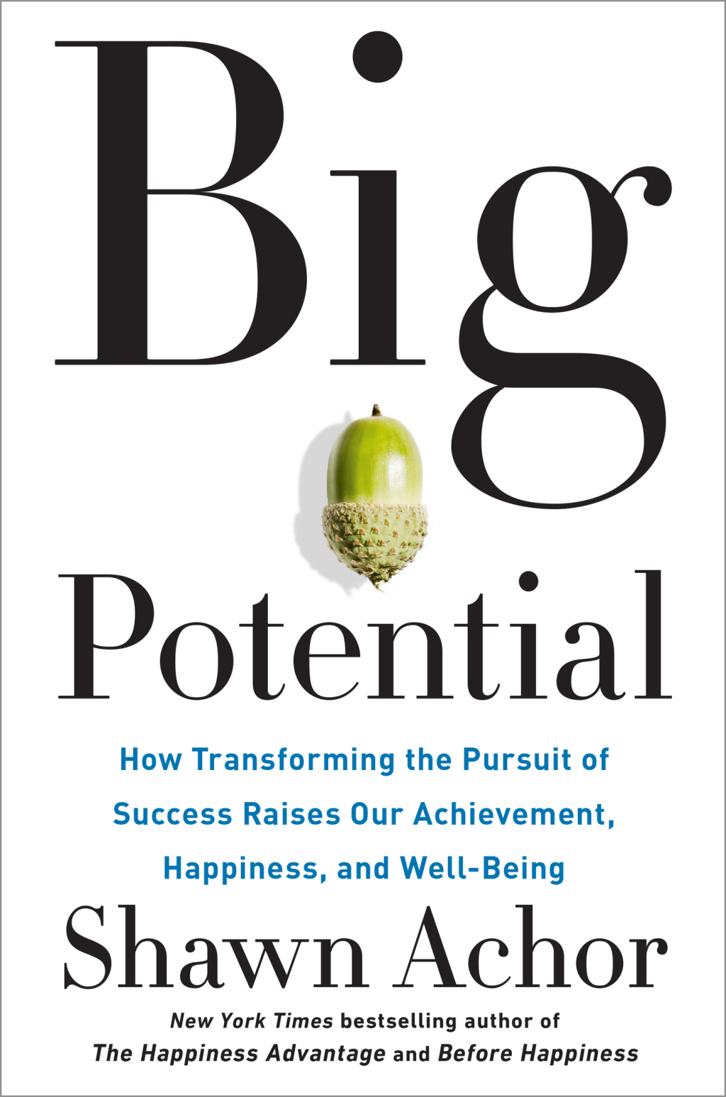 Big Potential How Transforming the Pursuit of Success Raises Our Achievement, Happiness, and Well-Being - (PDF/EPUB Version)