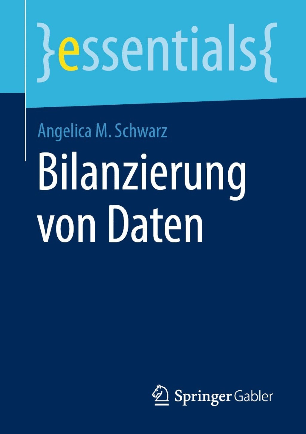 Bilanzierung von Daten - (PDF/EPUB Version)