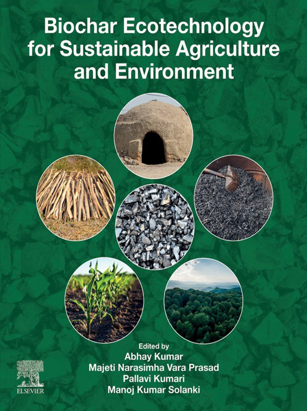 Biochar Ecotechnology for Sustainable Agriculture and Environment â€“ PDF/EPUB Version Downloadable