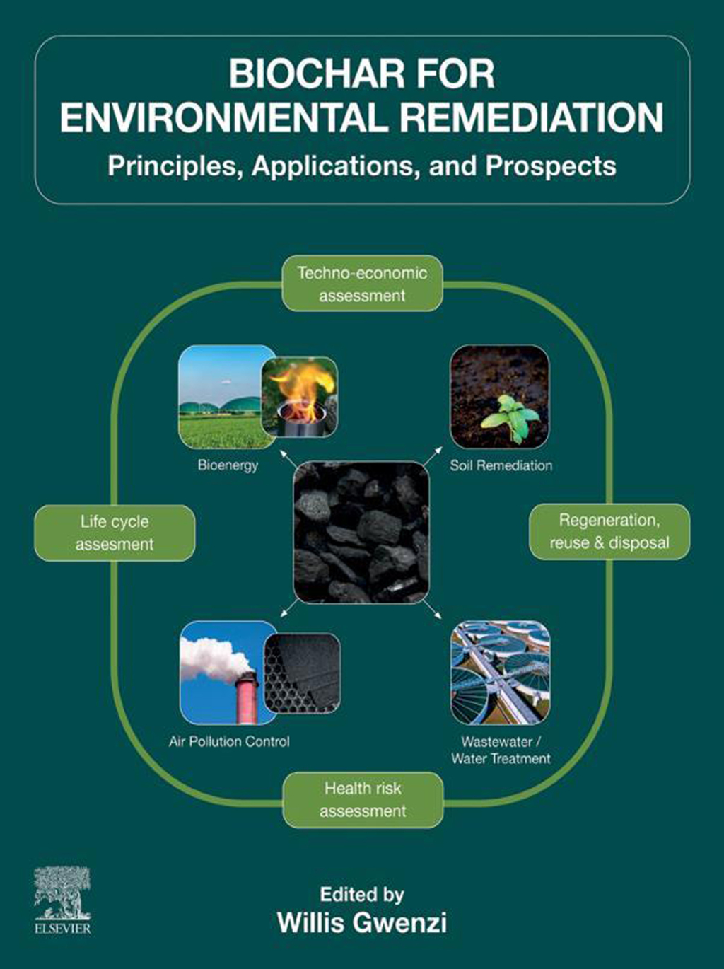 Biochar in Agriculture for Achieving Sustainable Development Goals â ...
