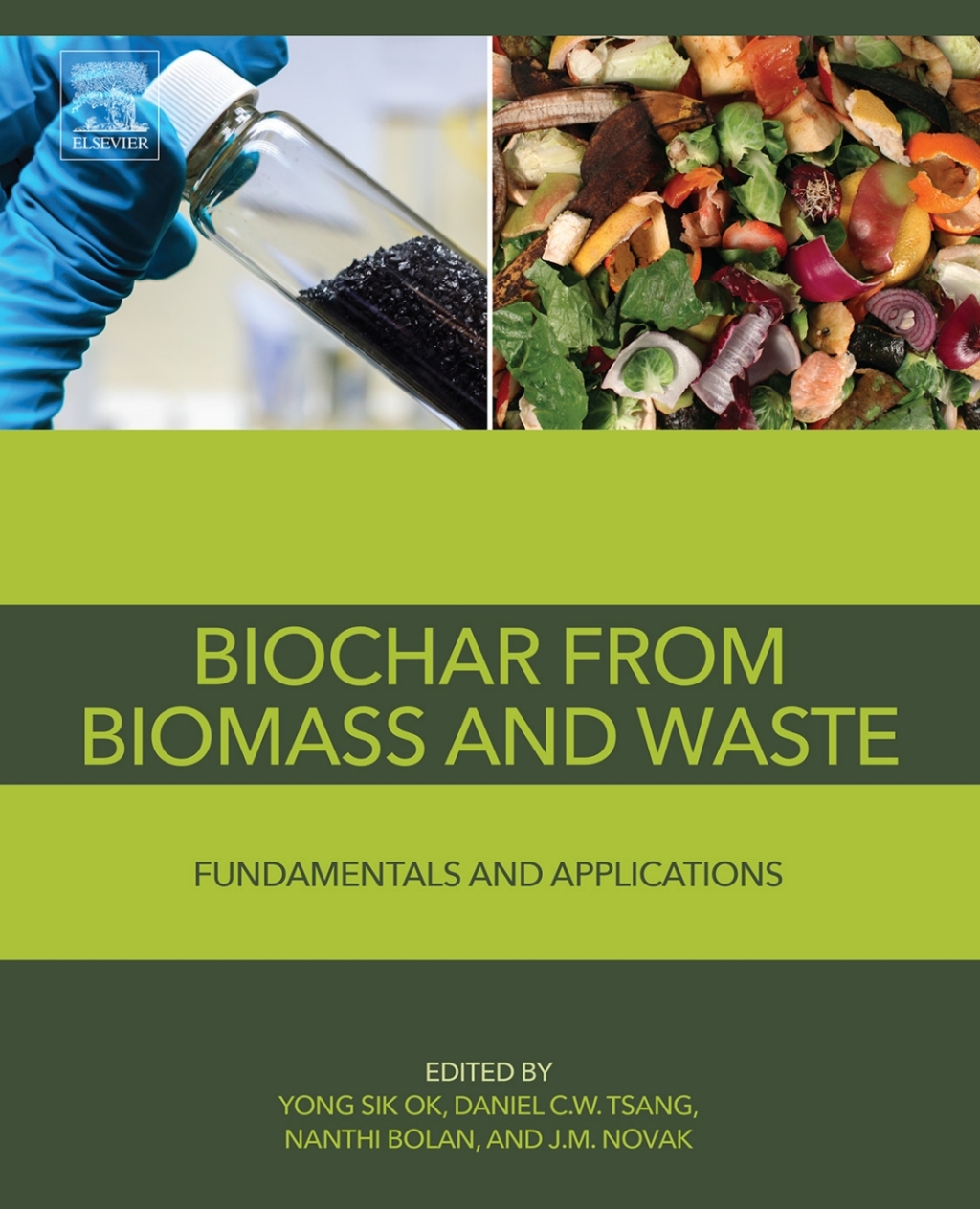 Biochar from Biomass and Waste Fundamentals and Applications â€“ PDF ...