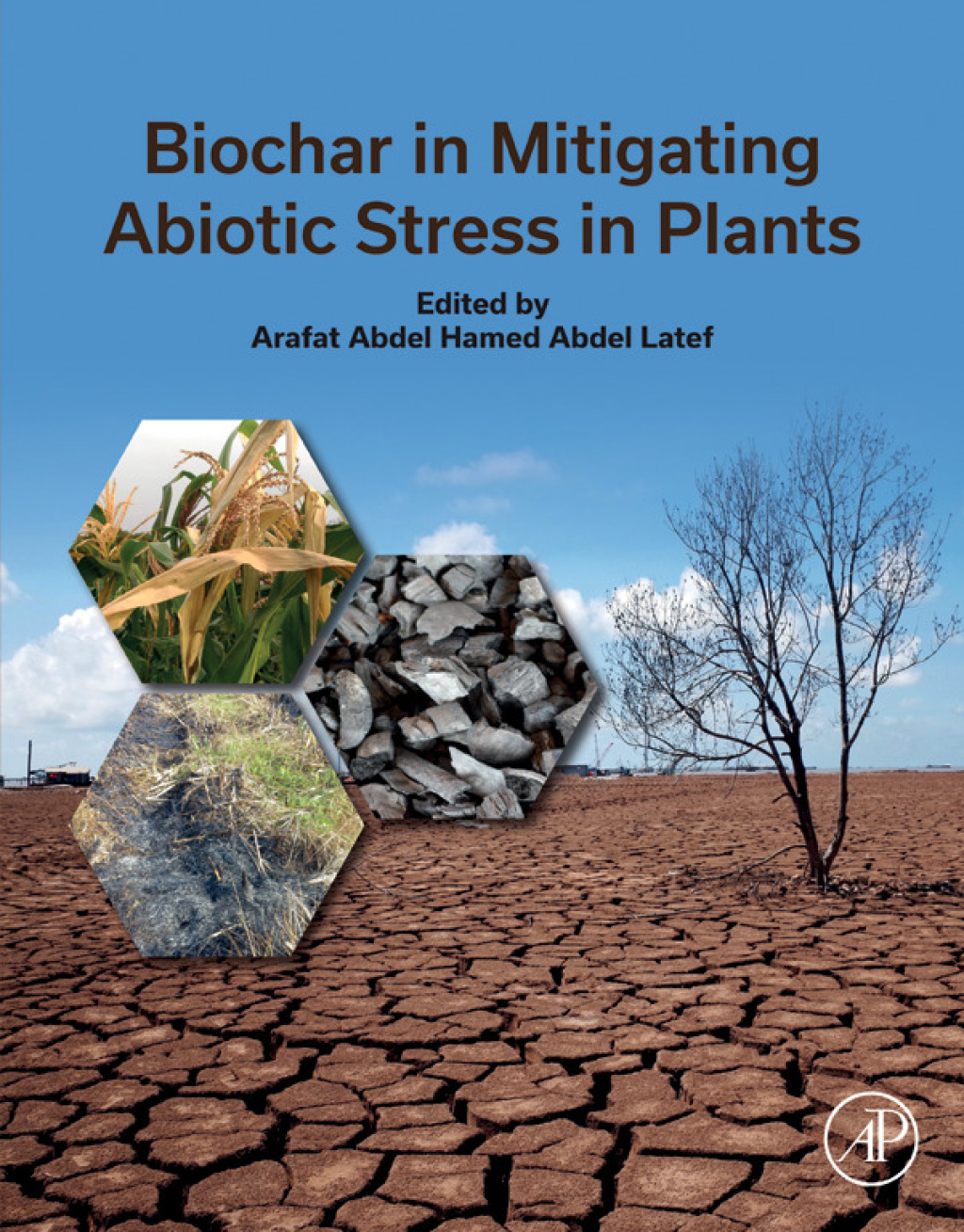 Biochar in Mitigating Abiotic Stress in Plants â€“ PDF/EPUB Version Downloadable