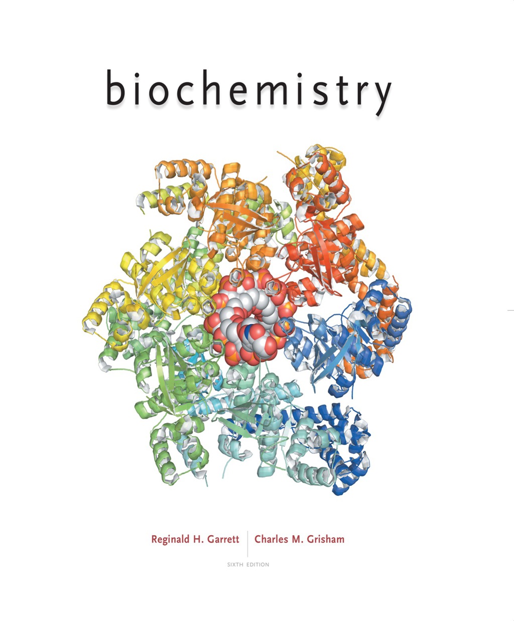 Biochemistry 6th Edition – PDF/EPUB Version Downloadable Biochemistry 6th Edition – PDF/EPUB Version Downloadable - Image 1