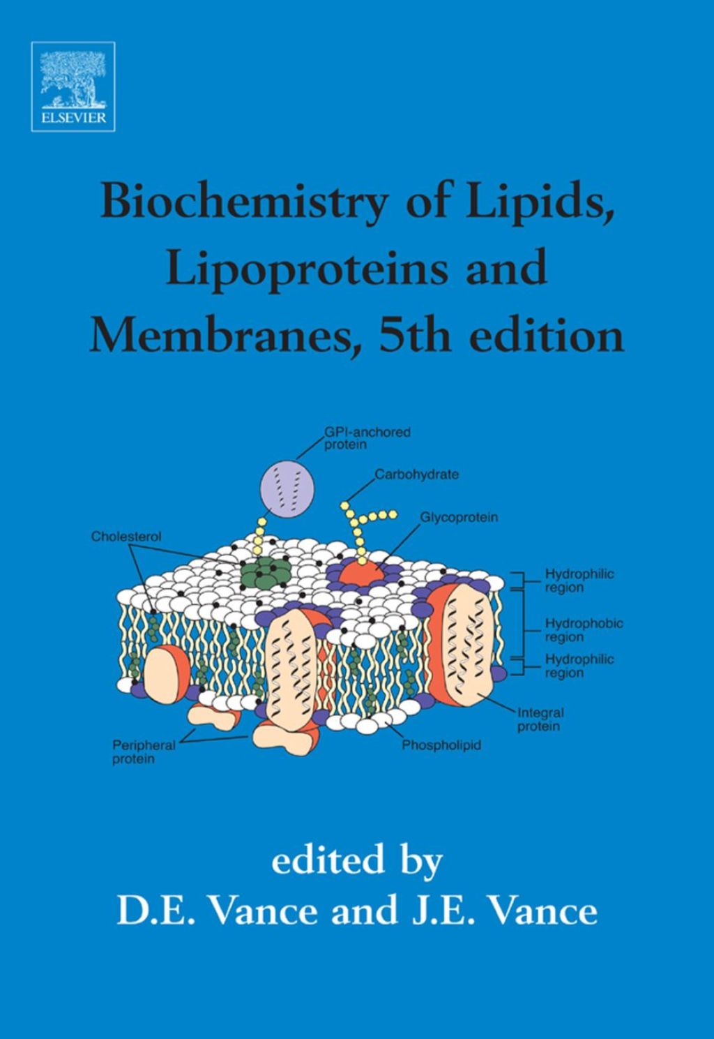 Biochemistry of Lipids, Lipoproteins and Membranes 5th Edition â€“ PDF/EPUB Version Downloadable