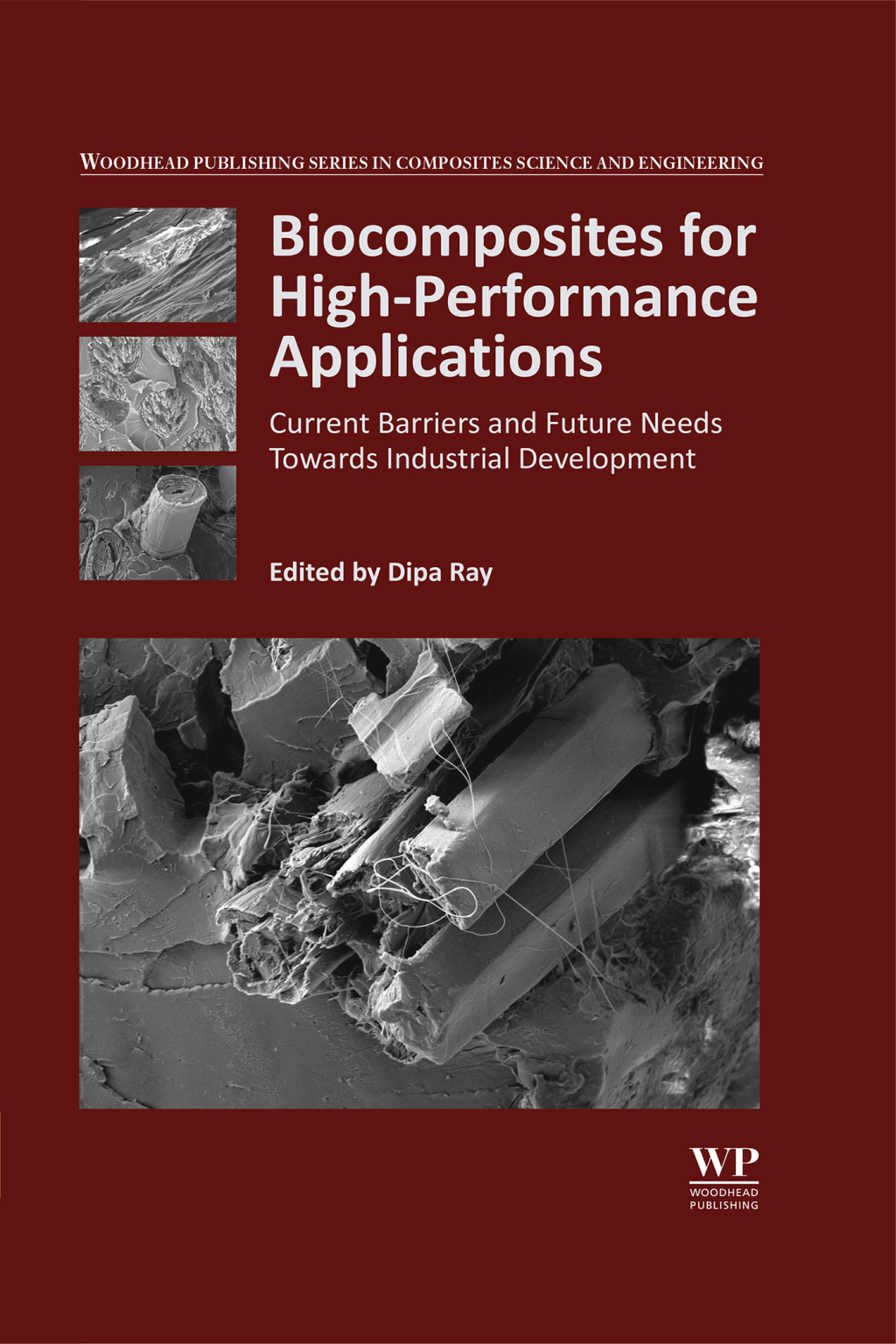 Biocomposites for High-Performance Applications Current Barriers and Future Needs Towards Industrial Development â€“ PDF/EPUB Version Downloadable