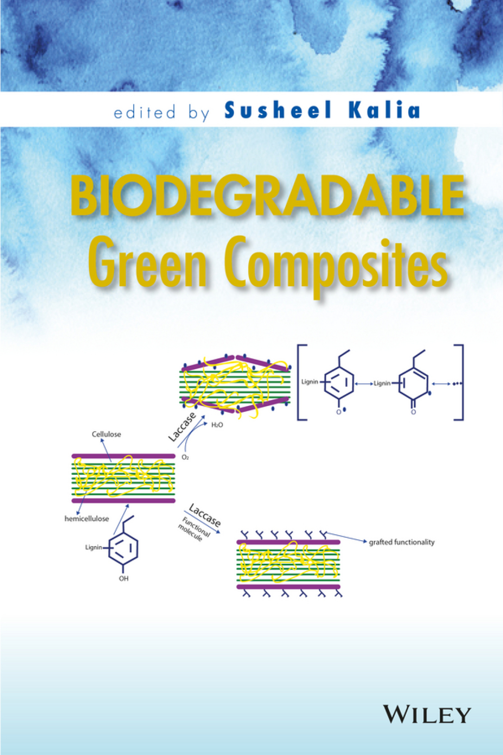 Biodegradable Green Composites 1st Edition â€“ PDF/EPUB Version Downloadable
