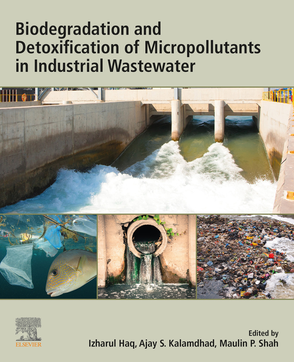 Biodegradation and Detoxification of Micropollutants in Industrial Wastewater â€“ PDF/EPUB Version Downloadable