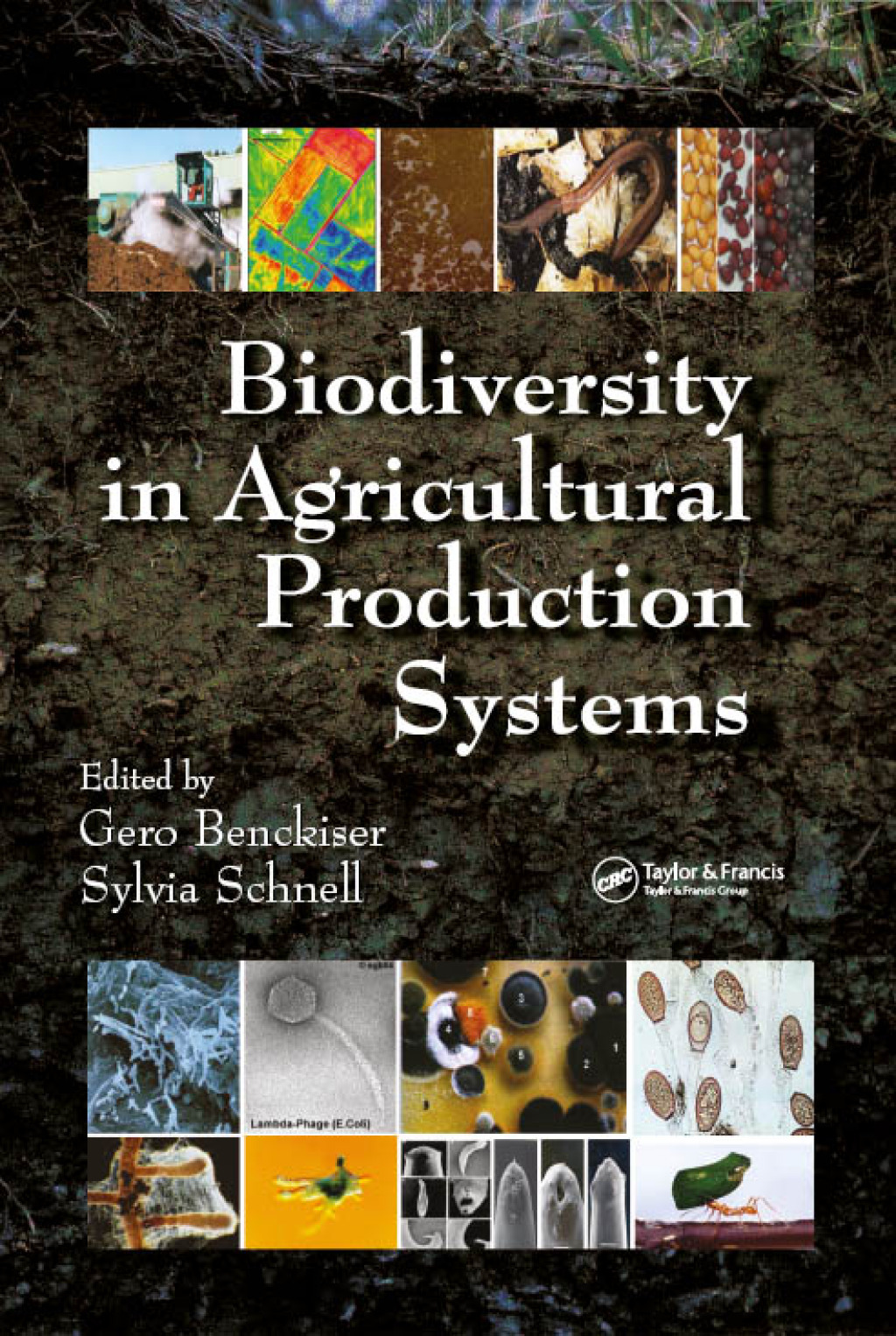 Biodiversity In Agricultural Production Systems 1st Edition â€“ PDF/EPUB Version Downloadable