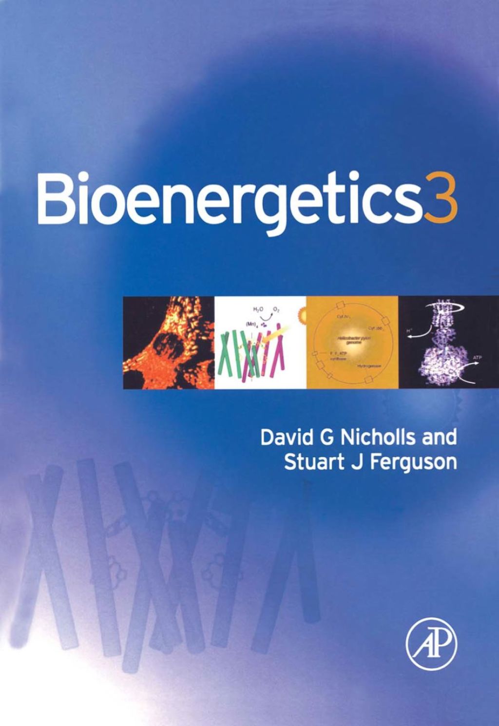 Bioenergetics 3rd Edition â€“ PDF/EPUB Version Downloadable