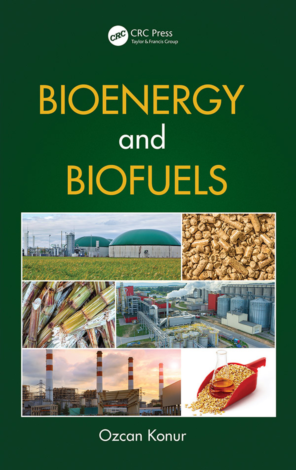Bioenergy and Biofuels 1st Edition â€“ PDF/EPUB Version Downloadable