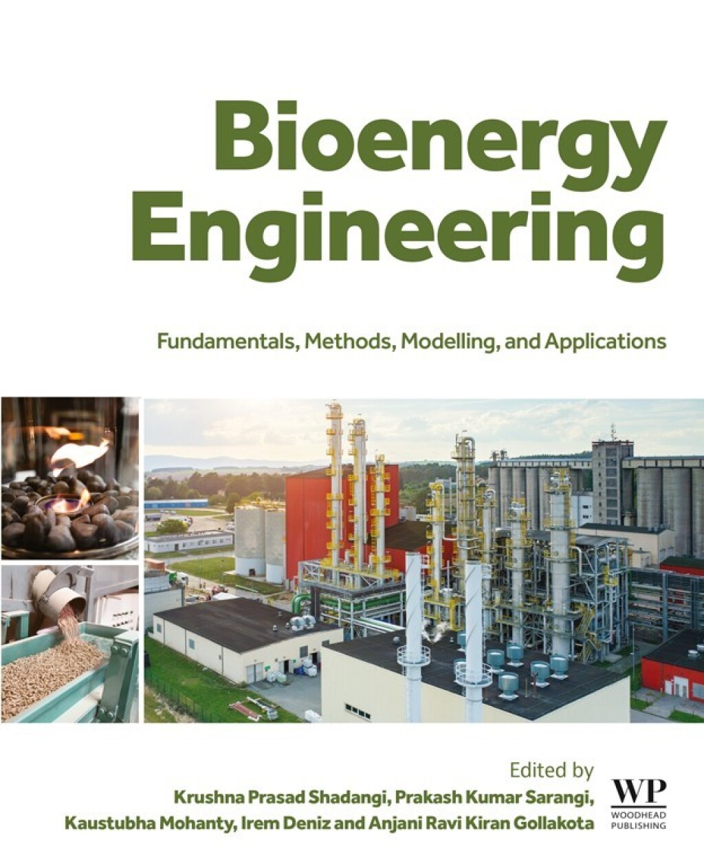 Bioenergy Engineering Fundamentals, Methods, Modelling, and Applications 1st Edition â€“ PDF/EPUB Version Downloadable